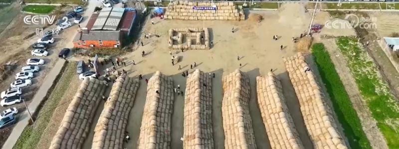 花样新场景蕴藏新潜力！消费领域“新供给+新需求”激发经济“新活力”