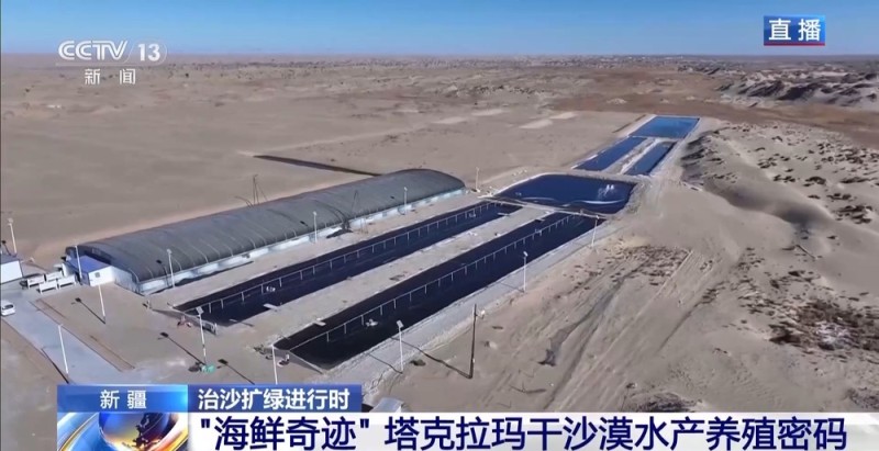 沙漠里如何养海鲜?解锁塔克拉玛干沙漠的水产养殖密码