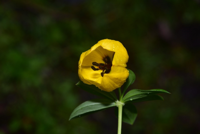 7点出发｜陌生男子深夜闯入熟睡婴儿房间，当地通报→