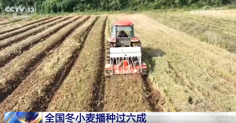 “良机+良技+良种”助力秋冬种按下“加速键” 端稳端牢“中国饭碗”