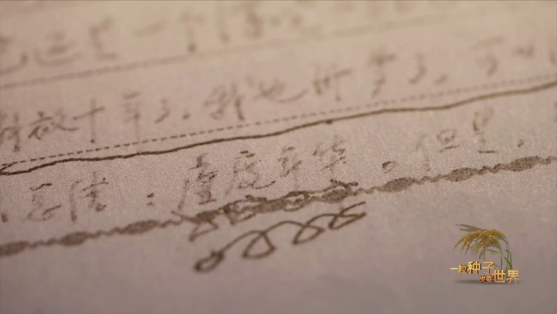 稻浪千里 禾下苍穹丨纪录片《一粒种子改变世界》即将播出