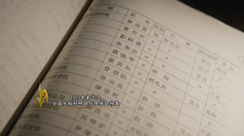 稻浪千里 禾下苍穹丨纪录片《一粒种子改变世界》即将播出