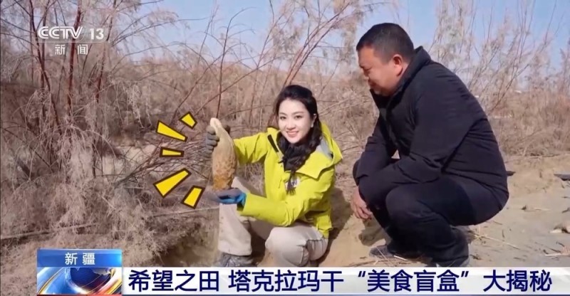 从“死亡之海”到“水产绿洲” 解锁新疆“点沙成金”的密码→