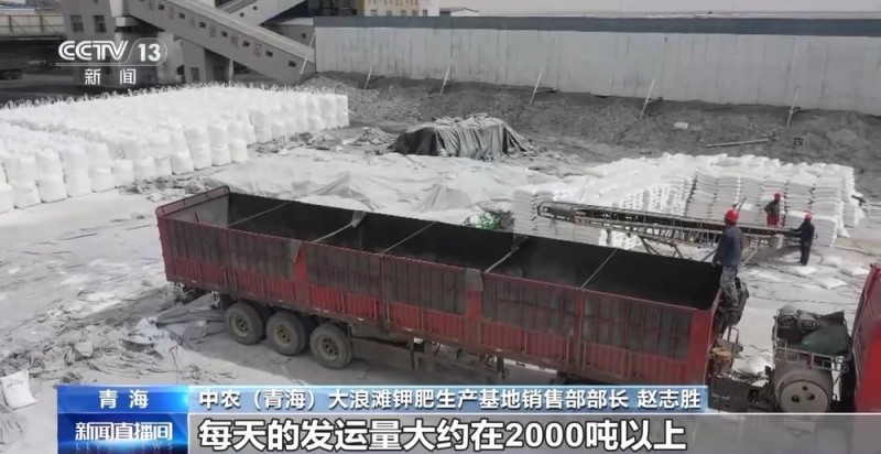 视频丨从数字竞拍到田头服务 农资保供“组合拳”护航秋冬种