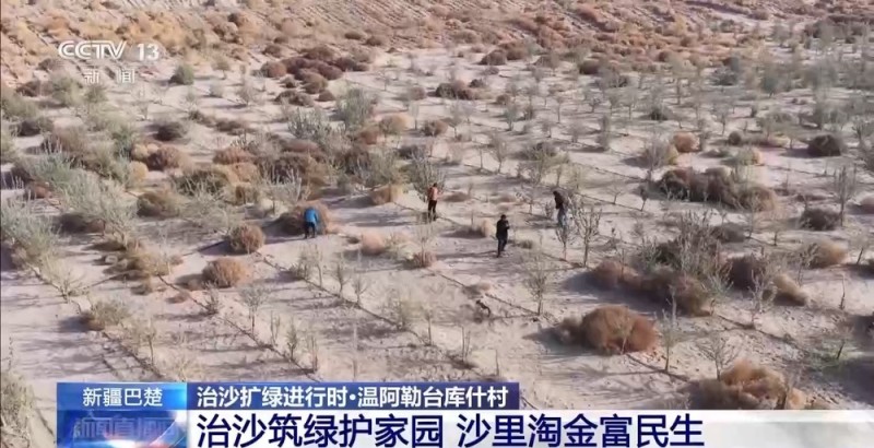 从“死亡之海”到“水产绿洲” 解锁新疆“点沙成金”的密码→