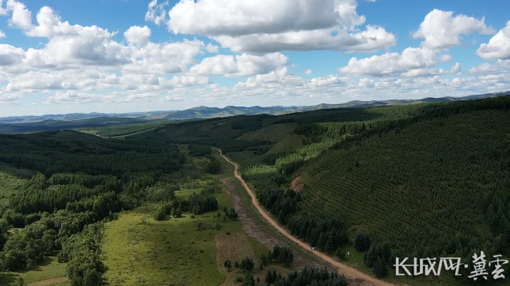 72 四中全会精神在基层丨一笔点“碳”成“金”的生态账