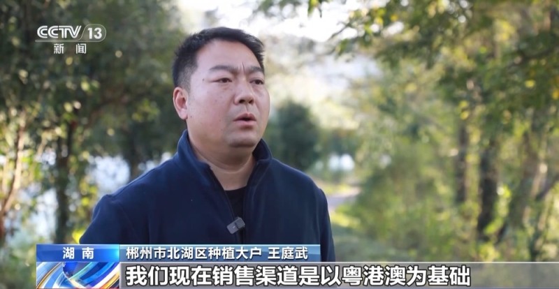 视频丨蔬菜贷、民宿贷、水果贷 金融服务“精准滴灌”到田间地头