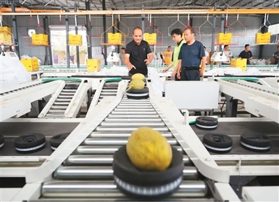 人民日报海外版看新疆 | 哈密：“甜蜜引擎”激活乡村活力