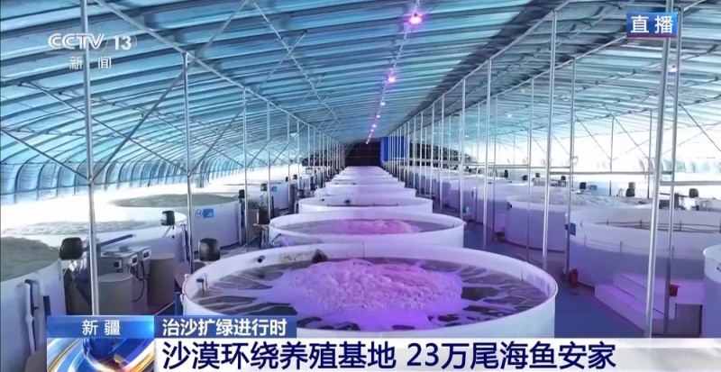 沙漠里如何养海鲜?解锁塔克拉玛干沙漠的水产养殖密码