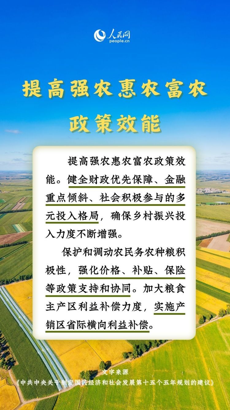 热词里的“十五五”丨这些“三农”关键词，透露增收新路径