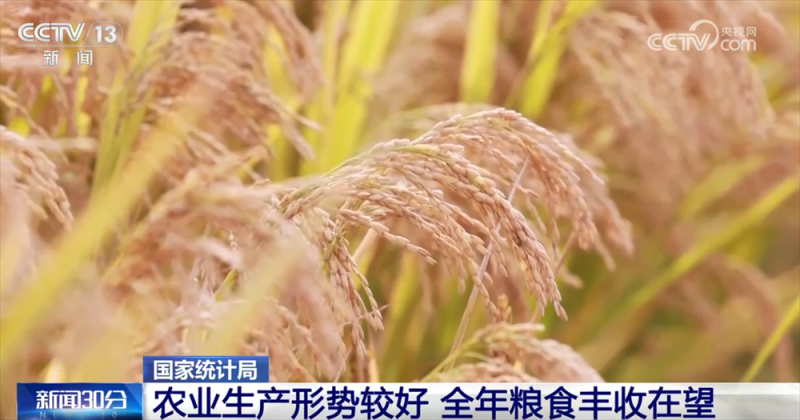 从10月份主要经济指标透视国民经济运行“稳”+“进”