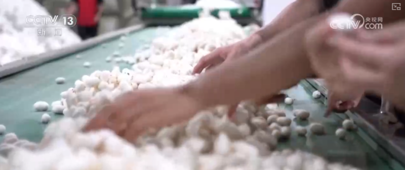 74.4万吨，增长11%！经纬交织“智造”创新机 科技赋能“织”出多元大市场