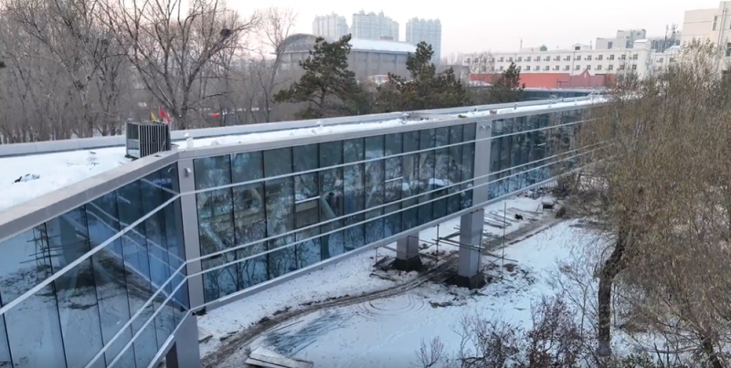 视频丨冬天穿短袖？哈工大硬核“暖廊”惊艳网友