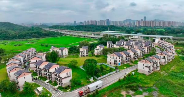 【理响中国・一线探新】海阔风正好扬帆，广州“百千万工程”行在前