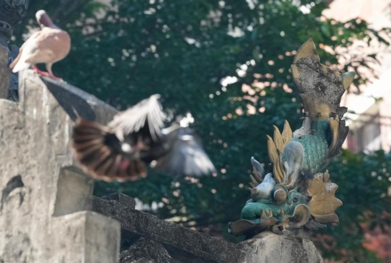 全运半程回顾|有坚持、有热爱、还有共同的未来与期待