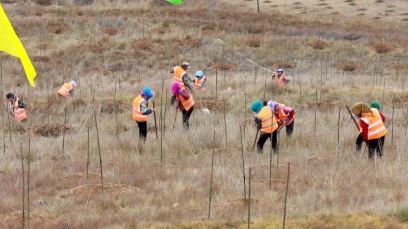 新华视点丨乡村振兴路 绿色富民图