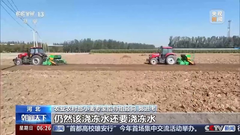 视频丨如何种好“过冬客人”冬小麦？专家介绍三个播种技巧