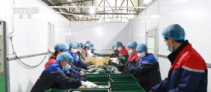 6000万人次、43.7%,旺盛!“数”里行间解码提质扩容稳就业“成色”↓