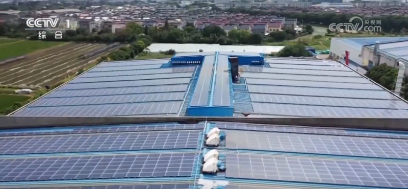 “新”字突出！各地不断打造人才培养新生态 激发高质量发展新动能