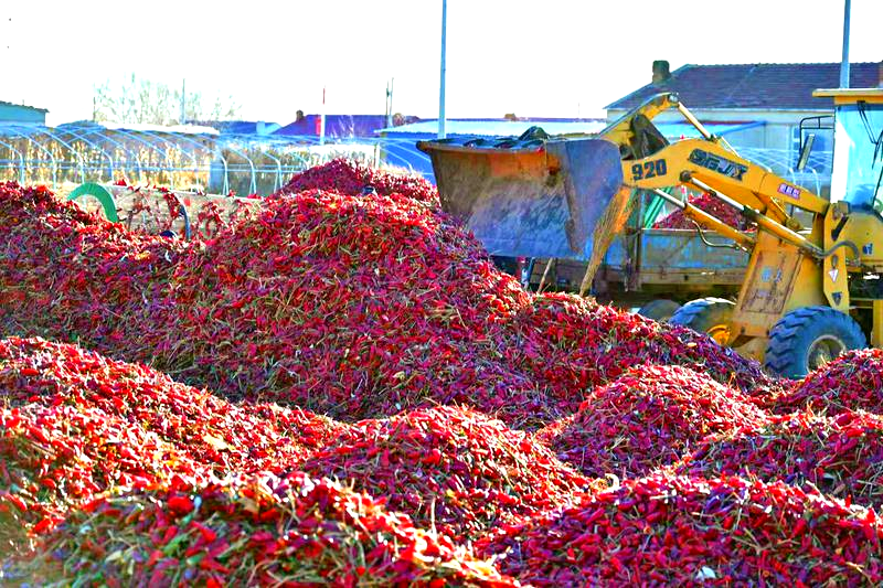 二十四节气看吉林｜小雪：沸雪迎冬热浪涌 烟火暖寒欢意浓