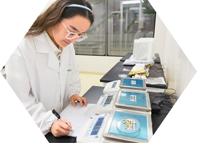 人民日报海外版看新疆 | 哈密：“甜蜜引擎”激活乡村活力