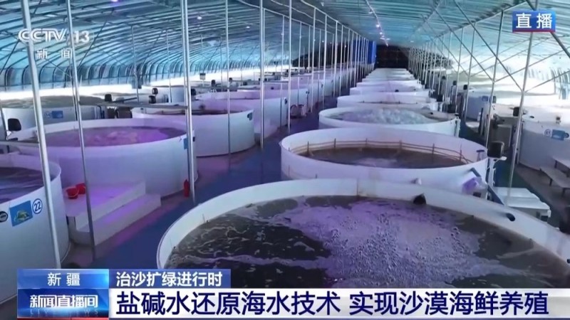 沙漠里如何养海鲜?解锁塔克拉玛干沙漠的水产养殖密码