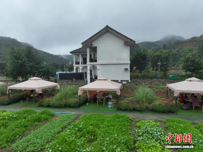 冬日农事忙 中国“西部菜都”新农人辈出