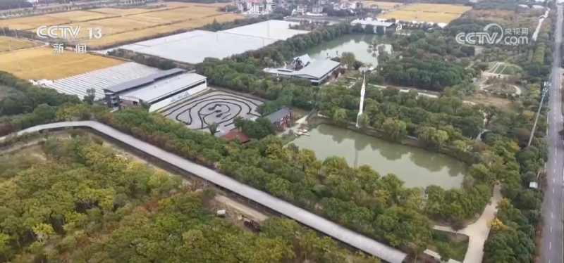 秋假游带热多地景区 “专属优惠+特色活动”释放文旅消费活力