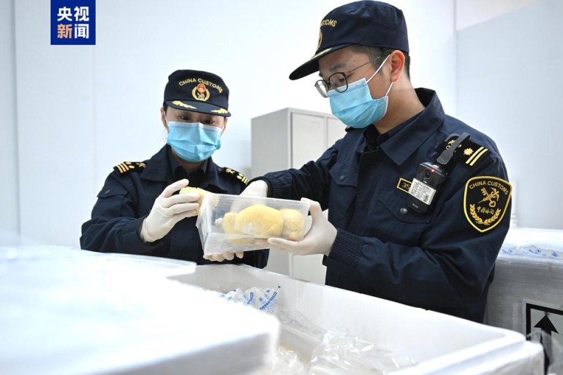 全国首票进口的印尼冷冻榴莲抵达福建福州