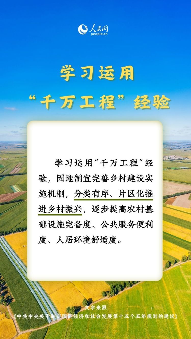 热词里的“十五五”丨这些“三农”关键词，透露增收新路径