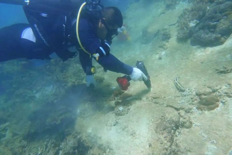 【】2-1 中国科学院南海海洋研究所科研人员在海底“种”珊瑚。受访者供图.jpg 警报拉响!地球触发首个“气候临界点”