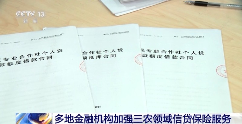 视频丨蔬菜贷、民宿贷、水果贷 金融服务“精准滴灌”到田间地头