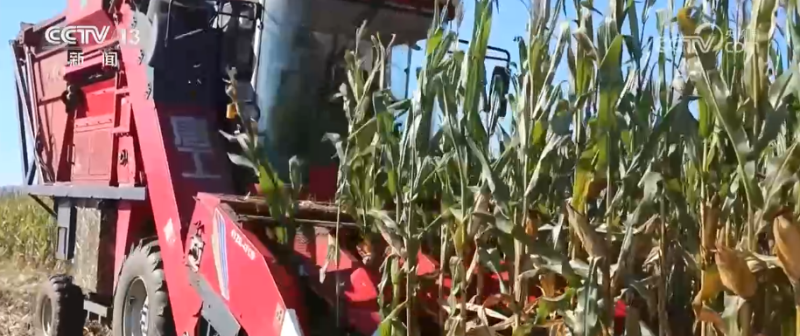 产业新观察・创新技术激活循环经济万亿级大市场 绿色消费呈现新亮点