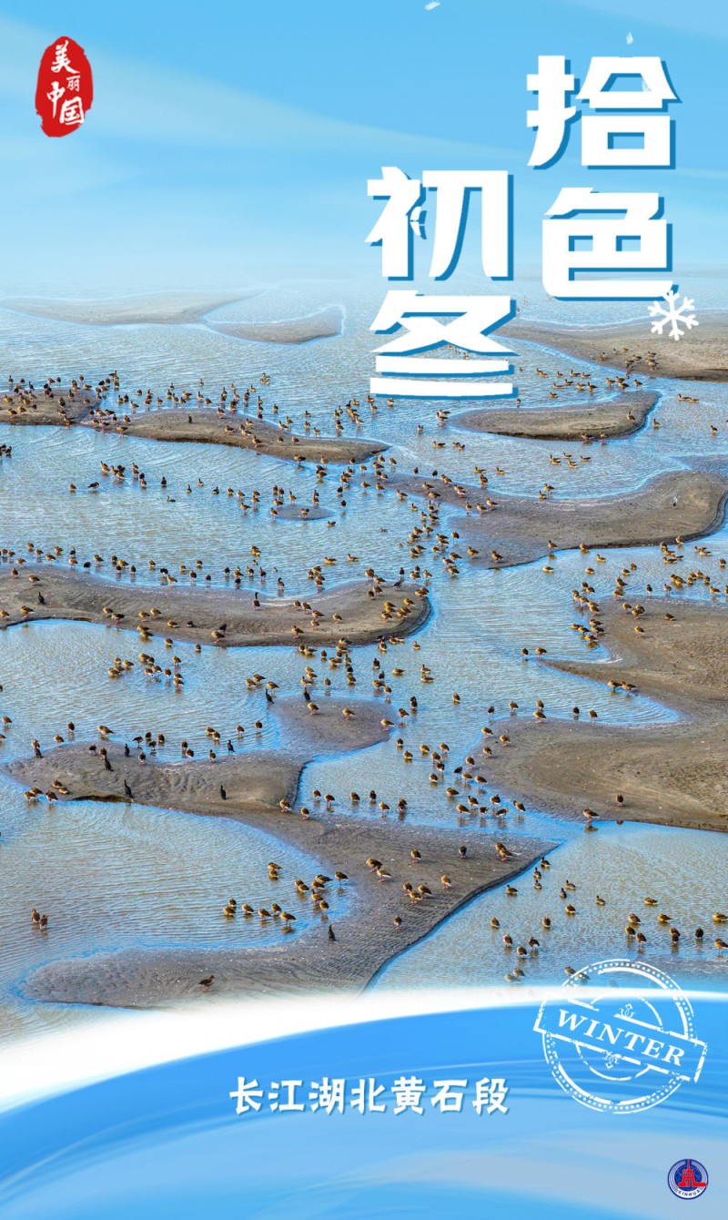 海报｜美丽中国・拾色初冬