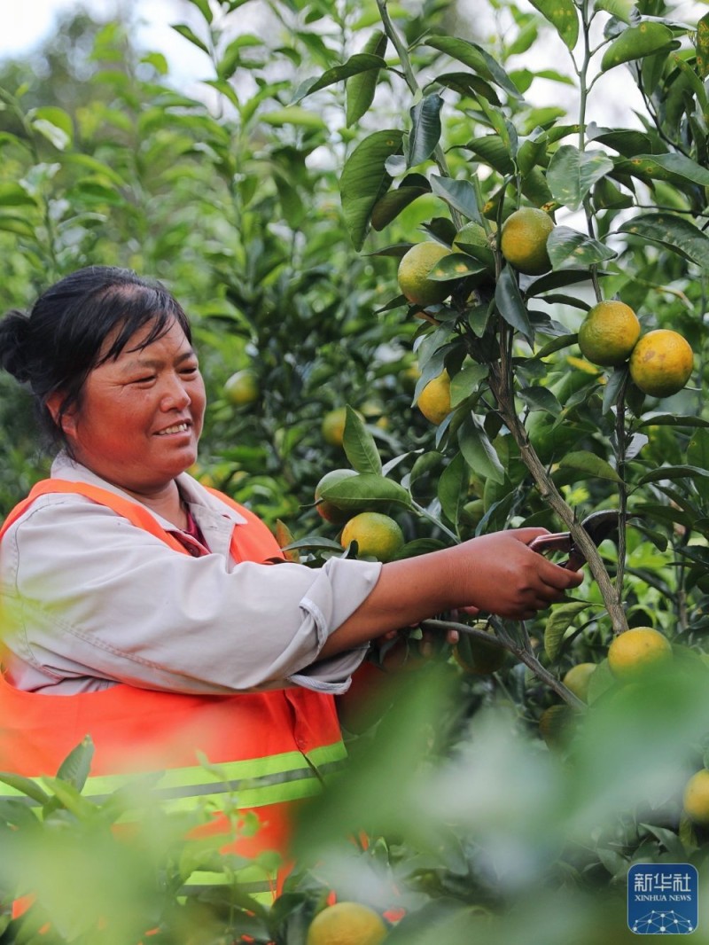 四中全会精神在基层丨这座宝藏车站让山乡居民搭上“幸福快车”