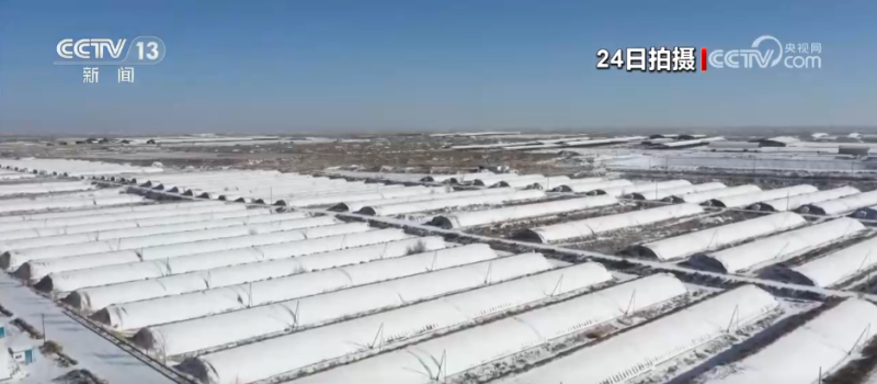 多地迎来大范围降雪降温天气 各部门协同联动保畅通保生产