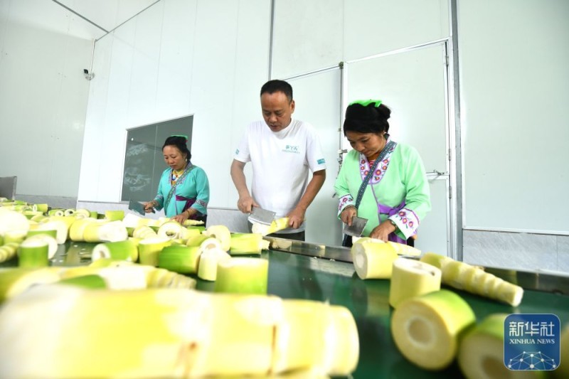 可爱的乡村――跨区域协作助深山苗寨产业发展