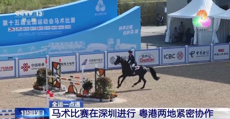 视频丨十五运会马术比赛在深圳进行 粤港两地紧密协作