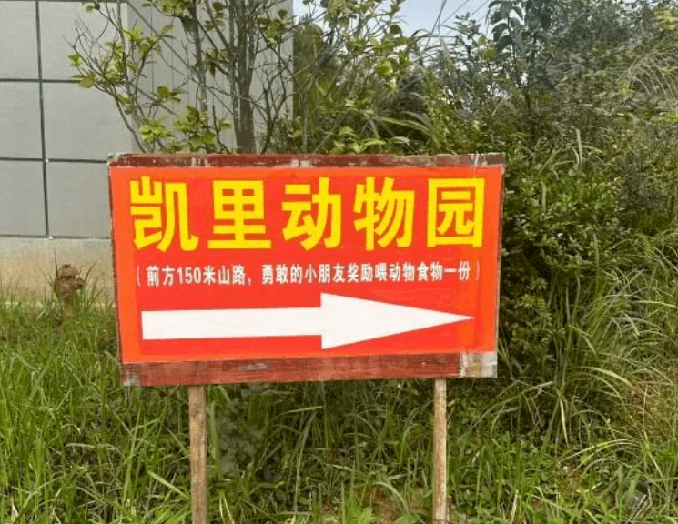 这个深山里的动物园，藏不住了！