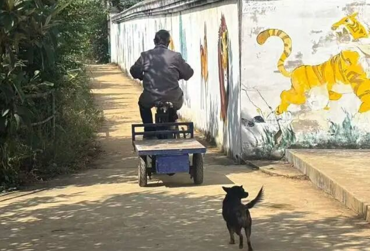 这个深山里的动物园，藏不住了！