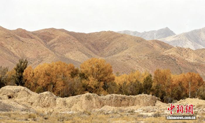 千年轮台的历史回响
