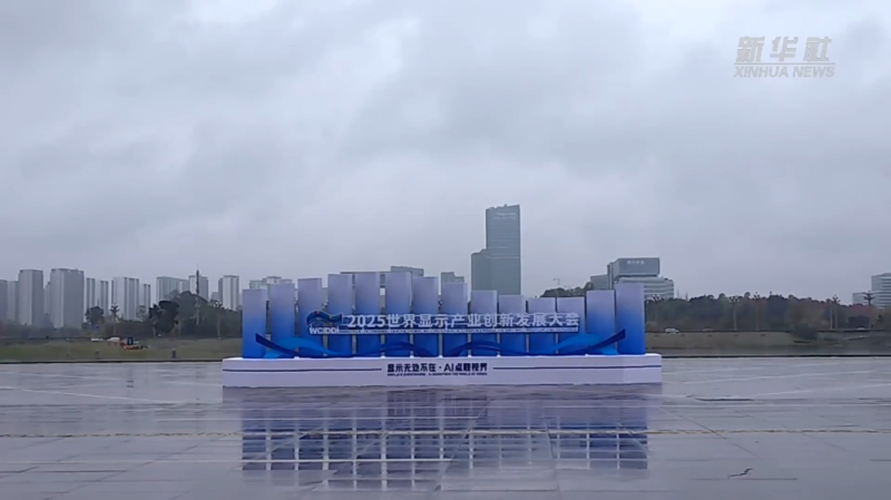 四中全会精神在基层丨四川:聚势成链构筑新型显示产业协同发展新格局