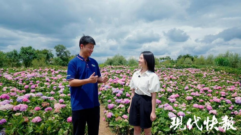 改革者 正青春|一朵鲜花如何“链接”全球市场?