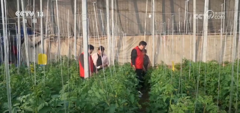 各地多举措应对寒潮降温天气 保障市民“菜篮子”供应稳定