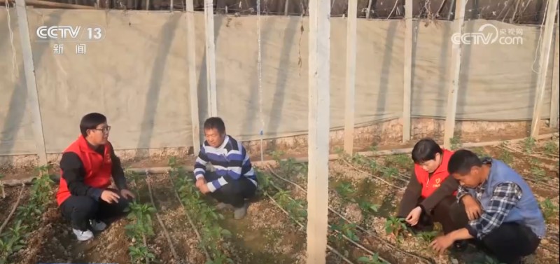 各地多举措应对寒潮降温天气 保障市民“菜篮子”供应稳定