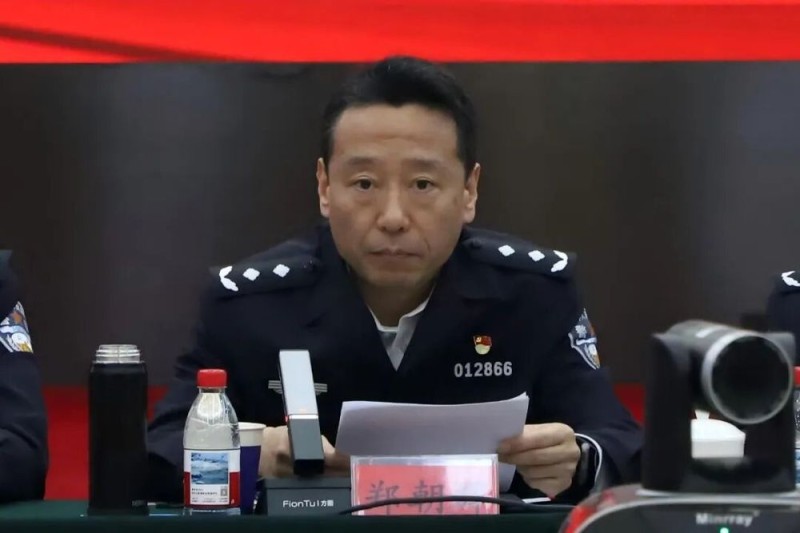 观澜知源 共绘“金析为证”新蓝图