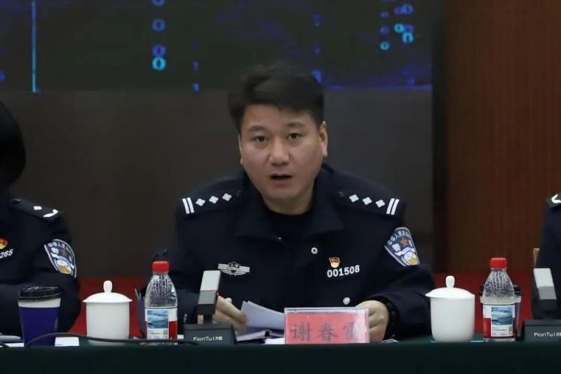 观澜知源 共绘“金析为证”新蓝图