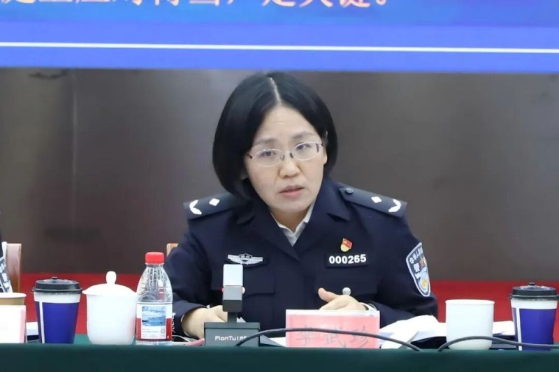 观澜知源 共绘“金析为证”新蓝图