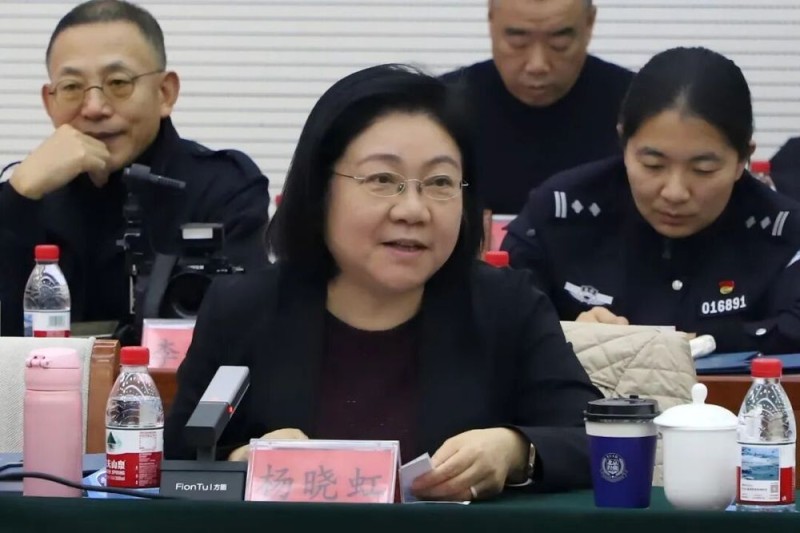 观澜知源 共绘“金析为证”新蓝图