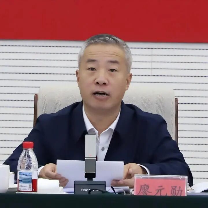 观澜知源 共绘“金析为证”新蓝图